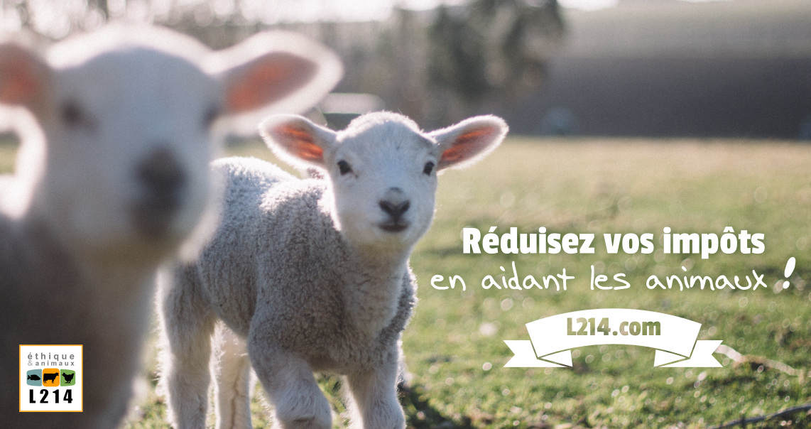 Grâce à vous, L214 peut agir