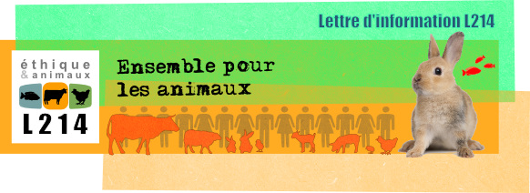 Bannière de bienvenue