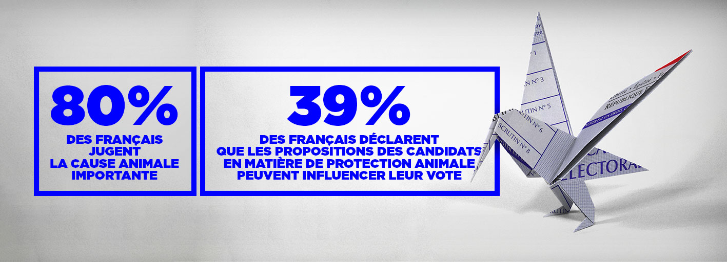 Quel int&eacute;r&ecirc;t pour la question animale ?