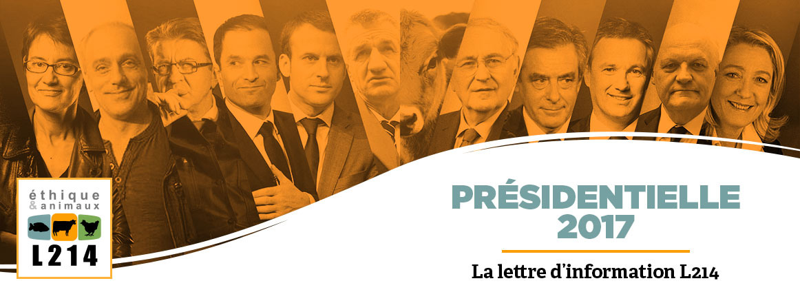 Texte alternatif