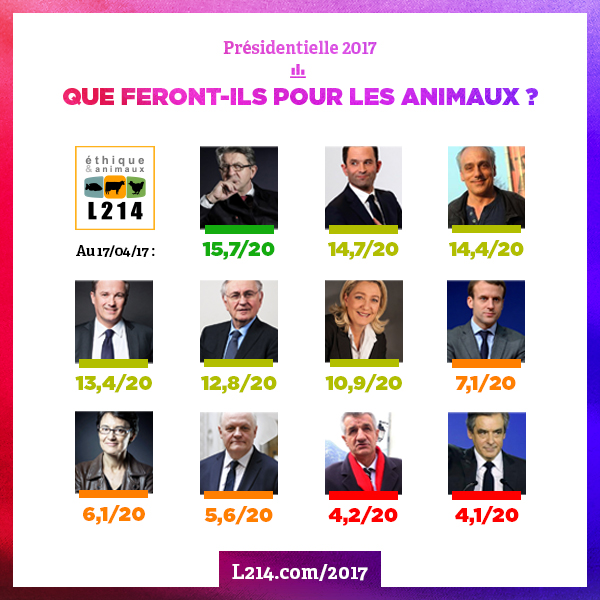 Que proposent les candidats pour les animaux ?