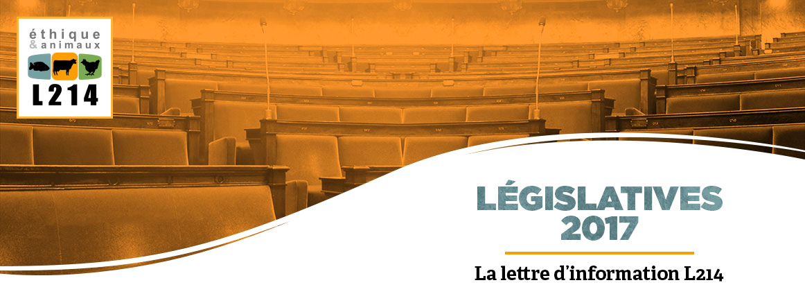 Elections legislatives 2017