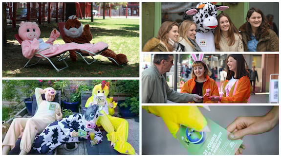 Des actions pour les animaux !