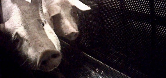 Abattoir de Houdan
