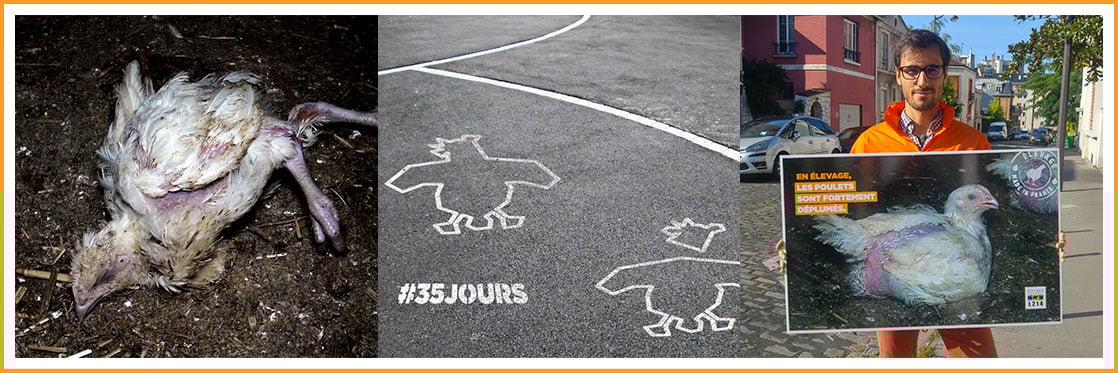 poulets Doux