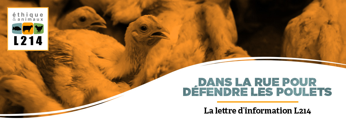 Continuons à agir ensemble