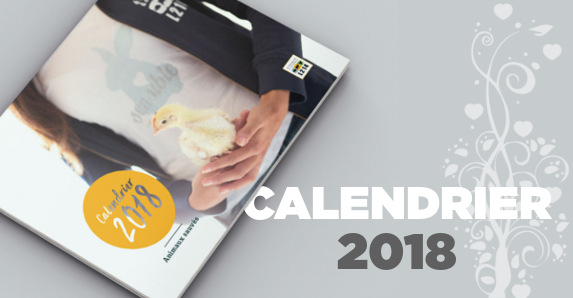 Calendrier 2018