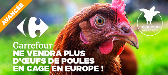 CEngagement de Carrefour