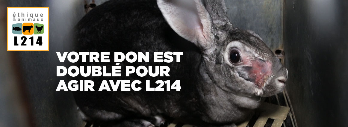 Votre don est doublé pour agir avec L214