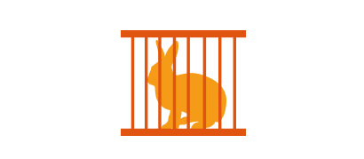 Lapin en cage