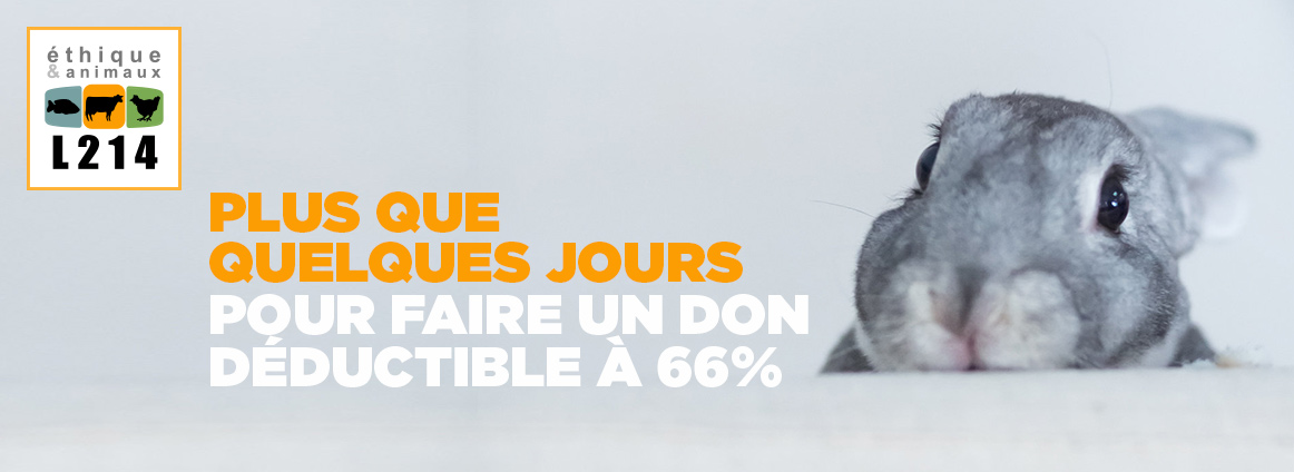 Plus que quelques jours pour faire un don déductible à 66%
