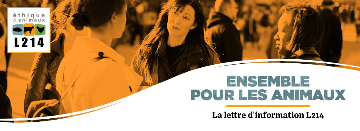 Lettre d'info L214