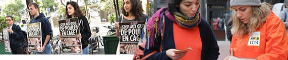 Les actions L214 pour les poules