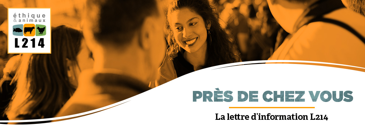 Lettre d'info L214
