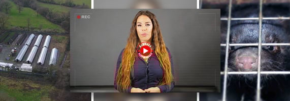 Kim Glow contre la fourrure