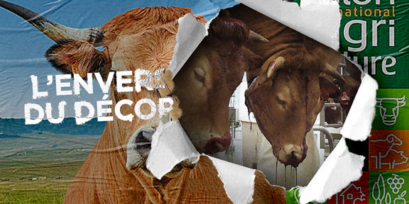 Salon de l'Agriculture : l'envers du décor