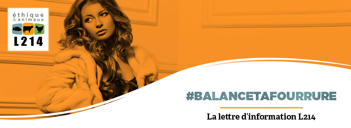 Lettre d'info L214