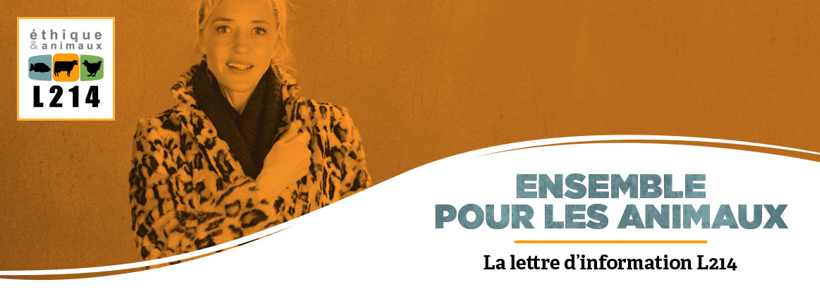 Lettre d'info L214