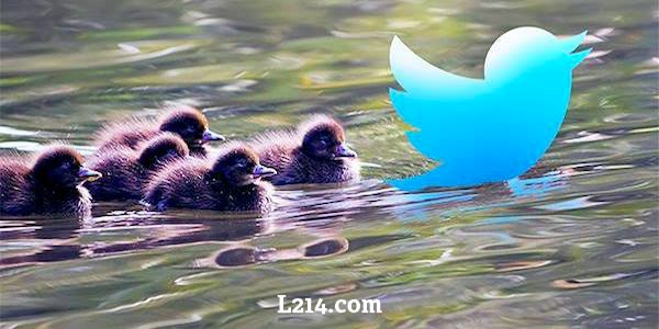 L214 sur Twitter, Instagram et Youtube