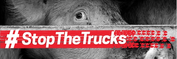 Stop the trucks