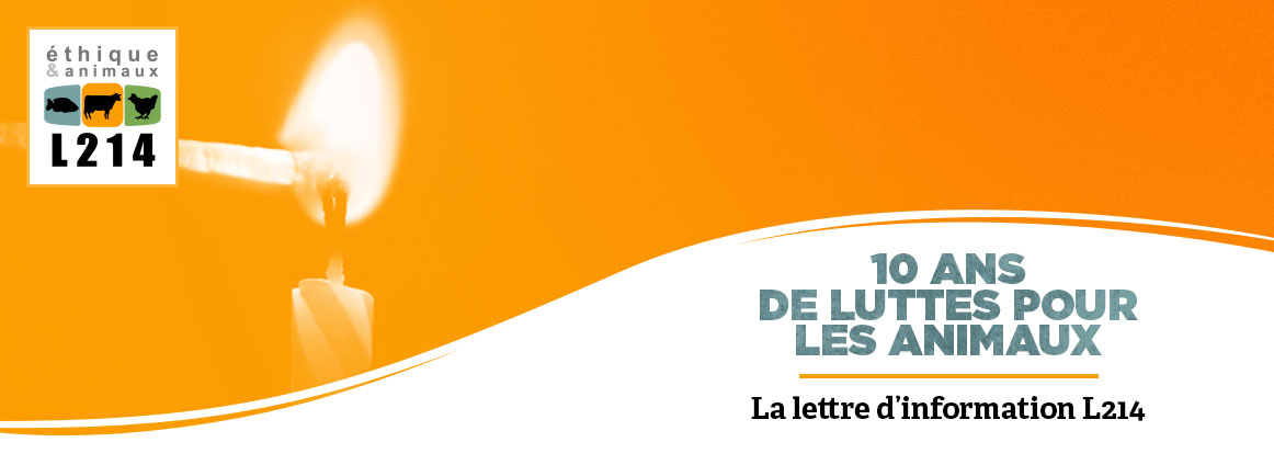 Lettre d'info L214