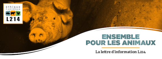 Lettre d'info L214
