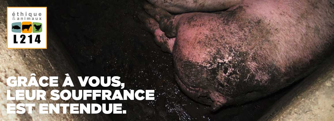 Grâce à vous, leur souffrance est entendue.