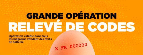 Œufs de batterie : menez l’enquête avec L214