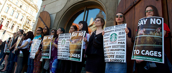 La campagne Starbucks