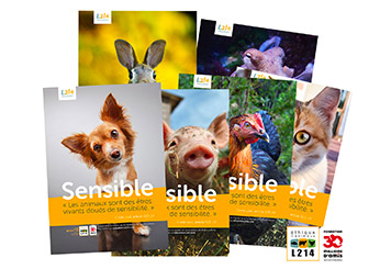 Posters Éducation pour l'école