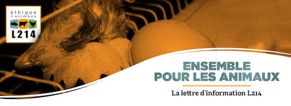 Lettre d'info L214