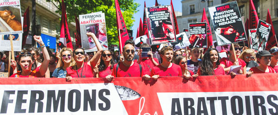 La Marche pour la fermeture des abattoirs