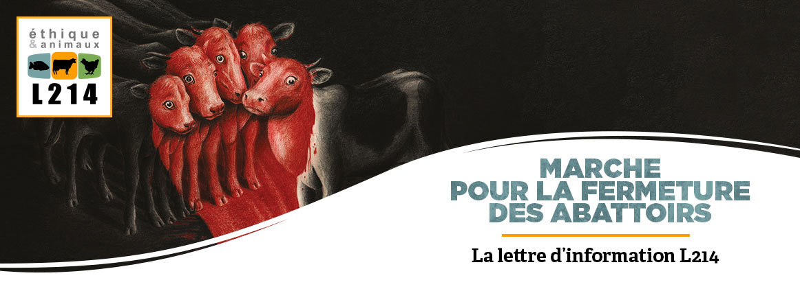 Lettre d'info L214