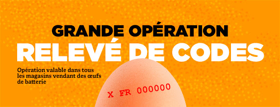 Menez l'enquête