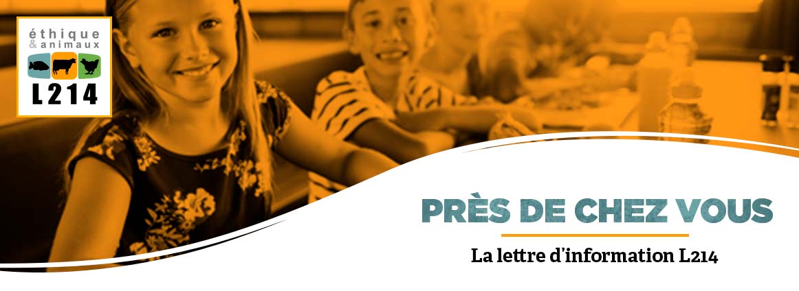 Lettre d'info L214