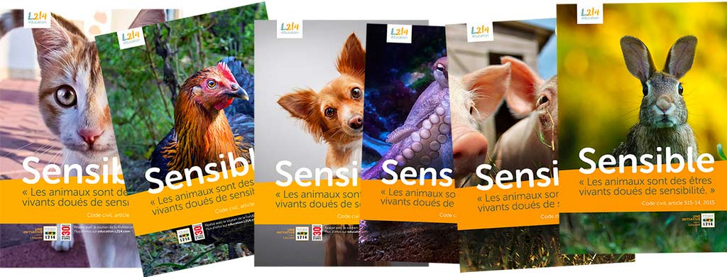 Découvrez les posters Sensible de L214 Éducation