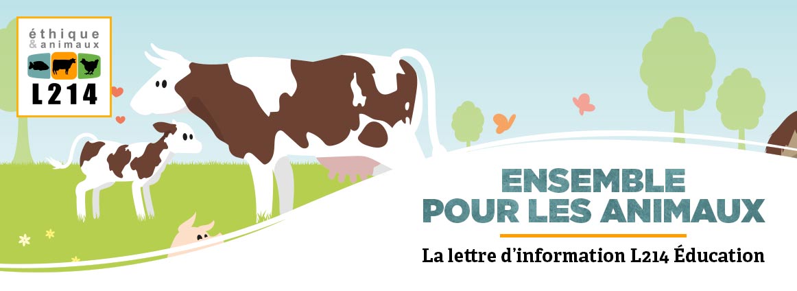 Lettre d'info L214