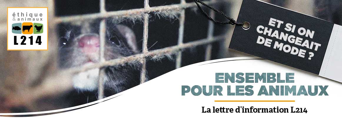 Lettre d'info L214