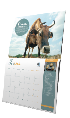 Le calendrier L214 pour l'année 2019