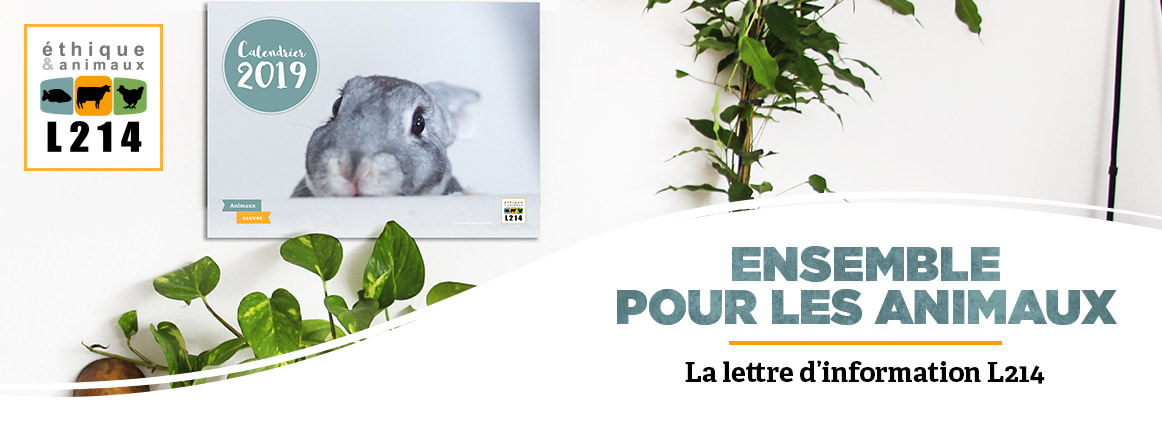 La boutique L214