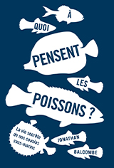 À quoi pensent les poissons ?