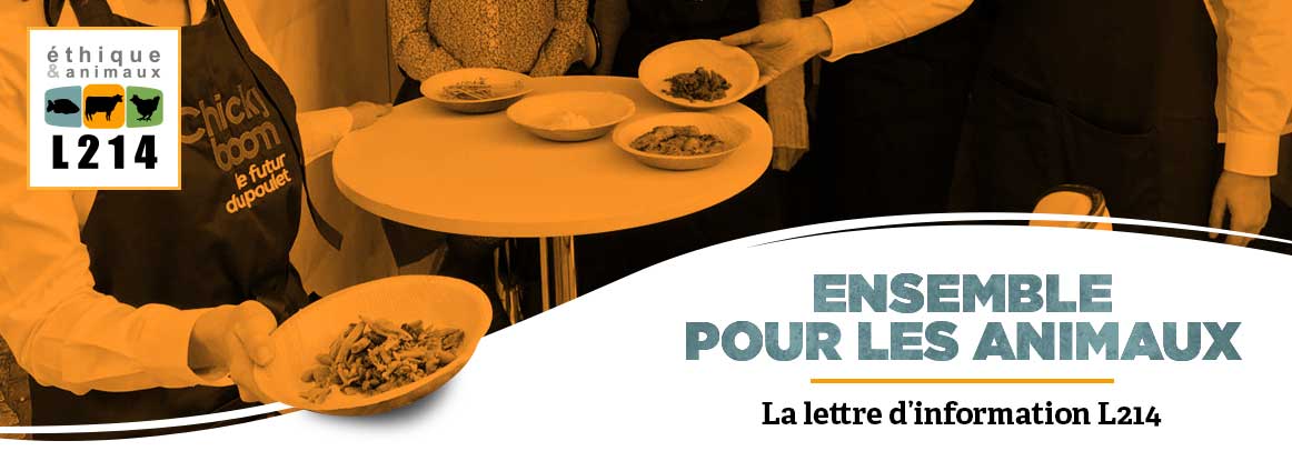 Lettre d'info L214