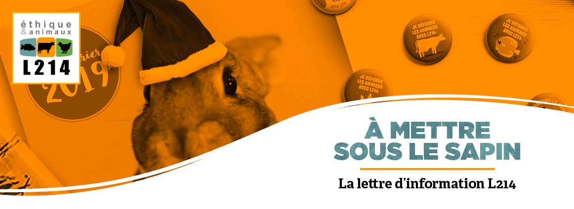 La boutique L214