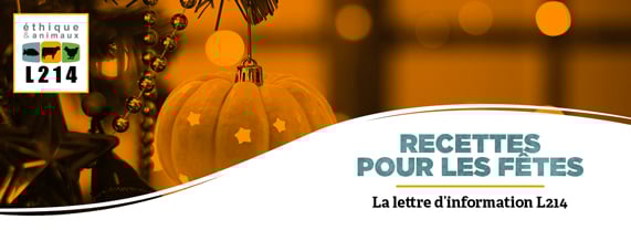 Recettes de fêtes
