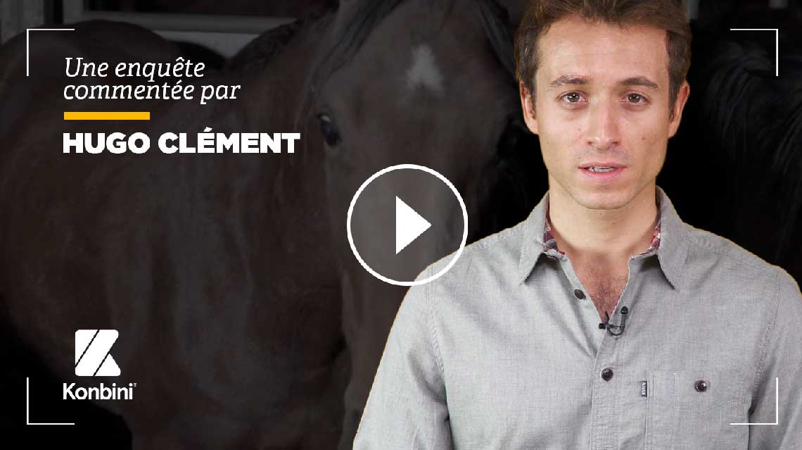 Nouvelle enquête dans le plus gros abattoir de chevaux de France