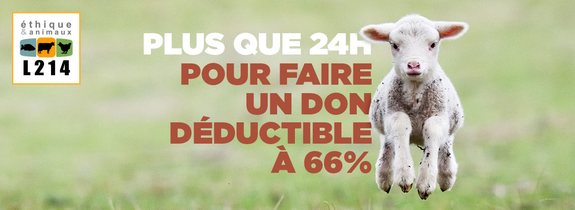 Plus que 24h pour faire un don déductible à 66%