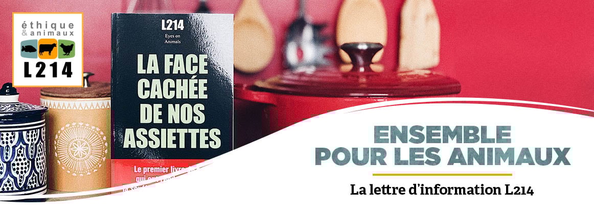 Sortie du livre « La Face cachée de nos assiettes »