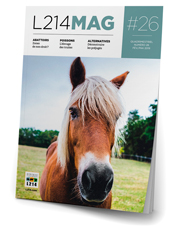 Commander gratuitement le Mag 26