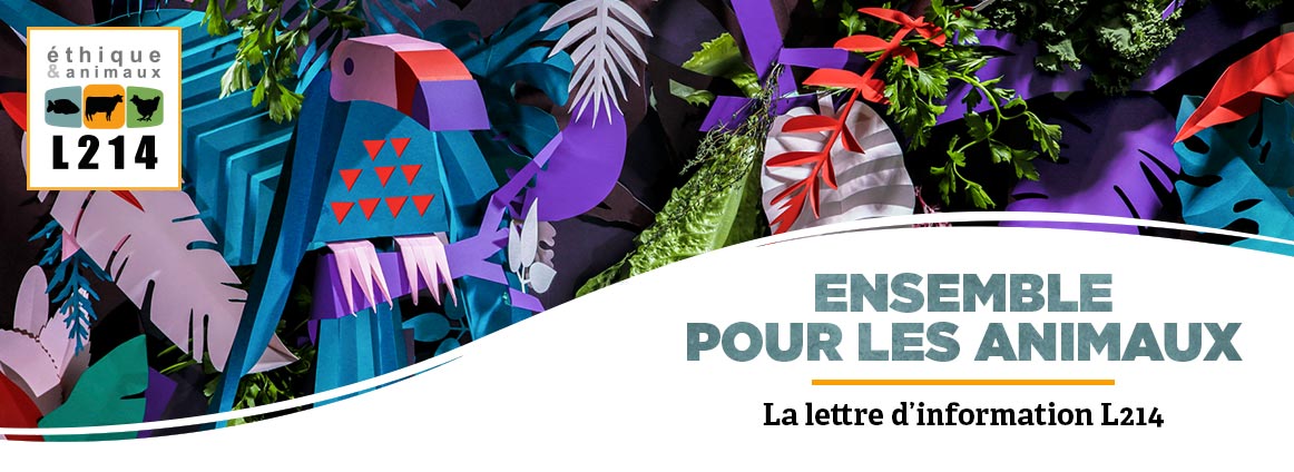 Découvrez l'alimentation végétale pour la Journée sans viande !