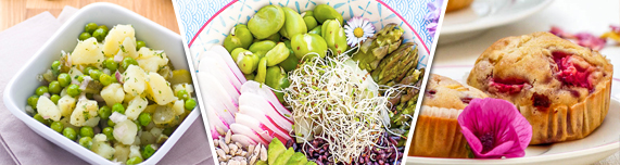 Notre sélection de recettes vegan pour le printemps